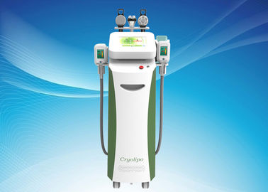 Non-İnvaziv Yağ Azaltma için Cryolipolysis Vücut Şekillendirme Güzellik Ekipmanları / Cryolipolysis zayıflama makinesi